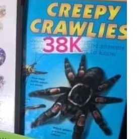 PL Book Creepy Crawlies