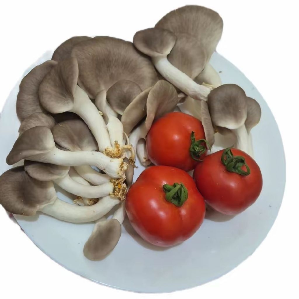 

Jamur Tiram Coklat 250gram, kaya nutrisi dan serat vitamin B, D penting untuk kesehatan tulang dan sistem imun. Sayur Segar