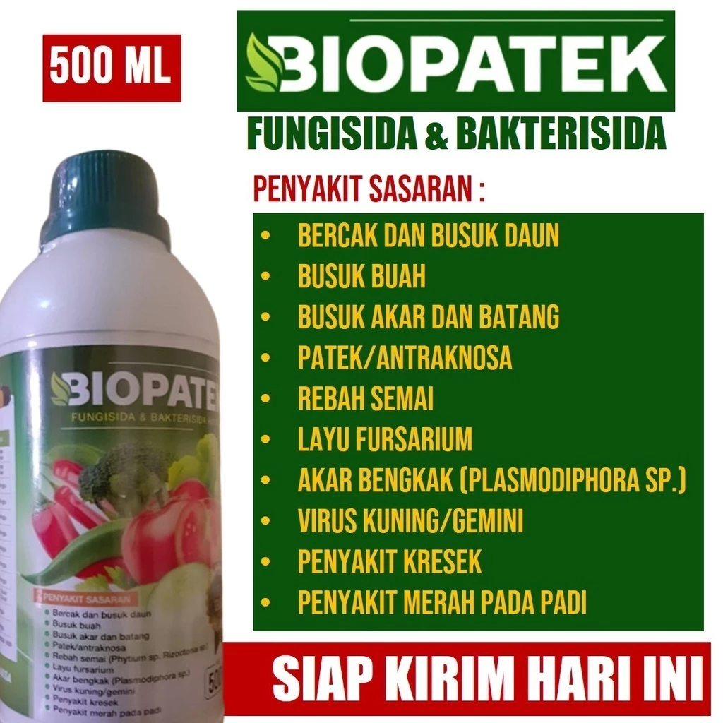 BIOPATEK Obat Bercak Daun dan Busuk Buah / Busuk Batang Cabe