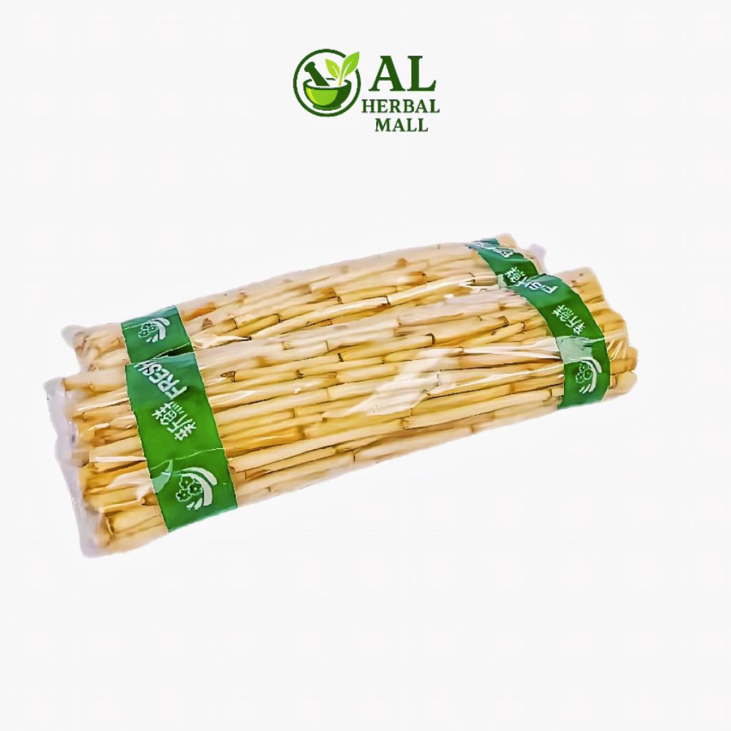 

Akar Alang Alang Segar 1Kg Murah