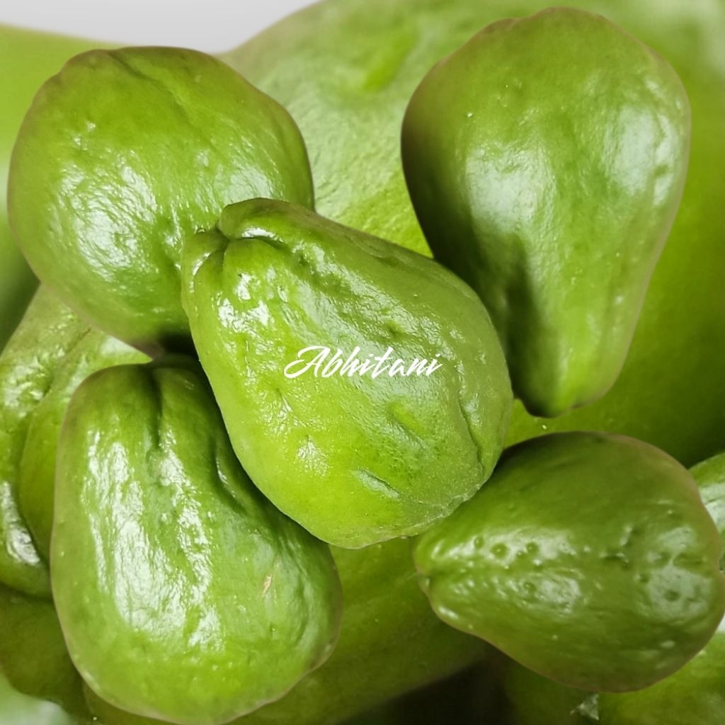 

labu siam / jepan segar baru petik 1kg