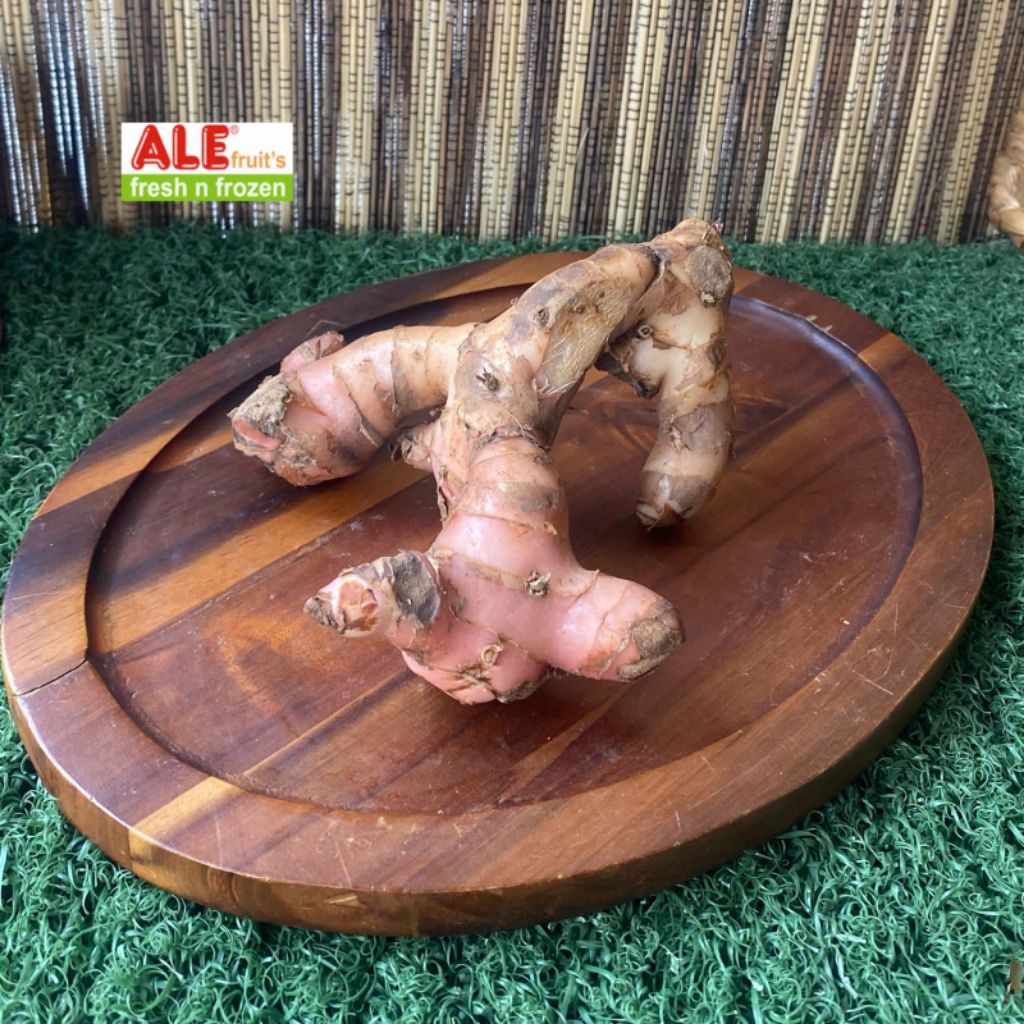 

Laos/lengkuas 500gr, Laos segar, lengkuas segar, Laos / lengkuas