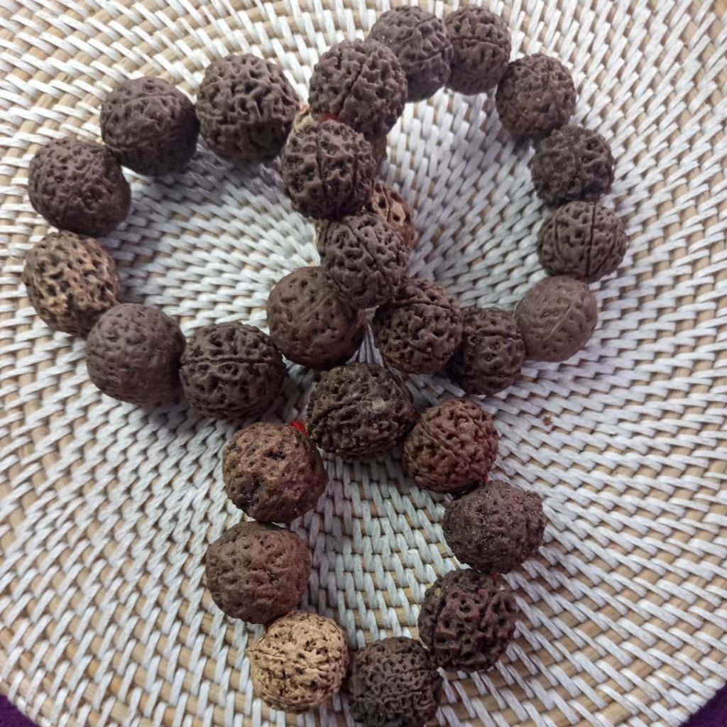 GELANG BIJI JENITRI JUMBO