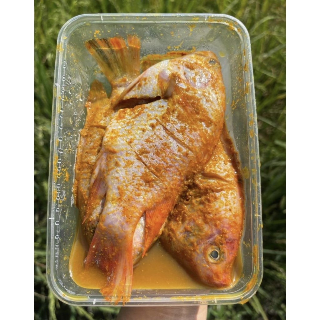 

Frozen Food Khusus Instan//Nila Marinasi isi 3pcs