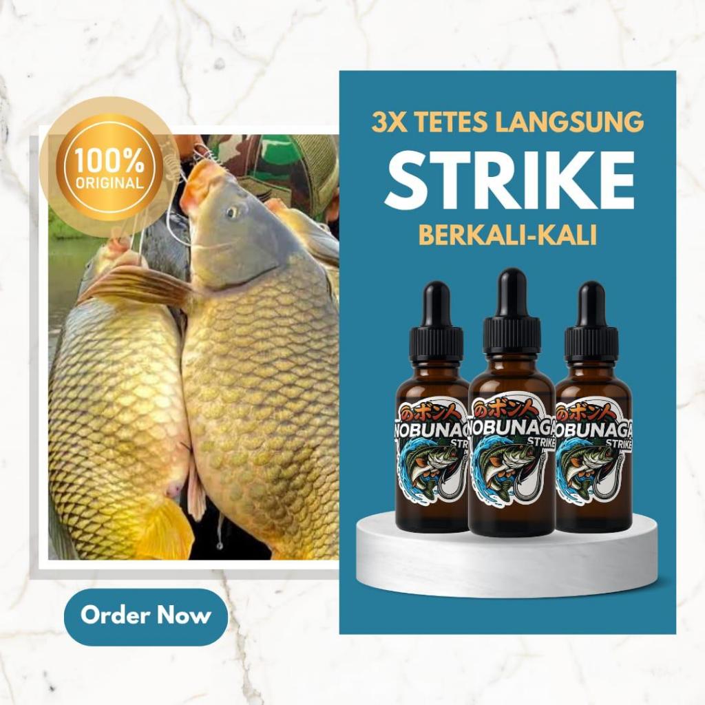 Essen Nobunaga Strike | Esen Pancing Galatama Harian Ikan Mas Babon Indukan Patin Nila Bawal