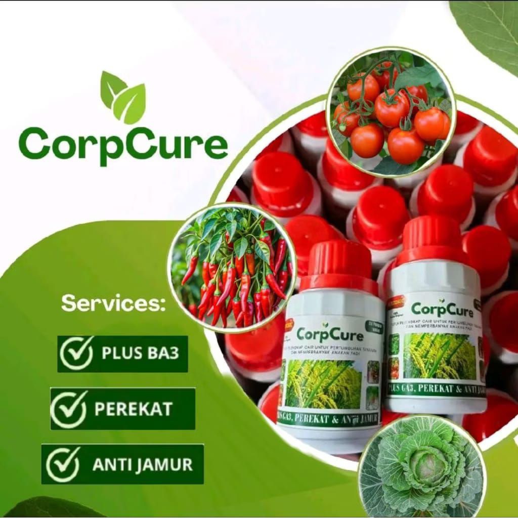 CORPCURE Penyubur Tanaman Perangsang Memperkuat Akar Memaksimalkan Potensi Pertumbuhan Sayuran