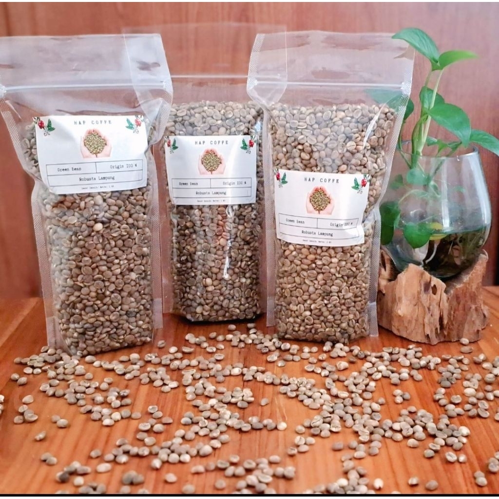 Green bean Robusta Lampung