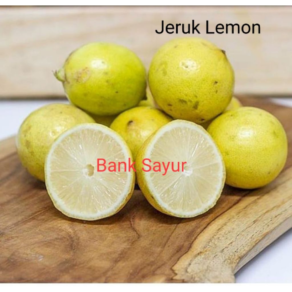 

Jeruk Lemon Lokal Fresh