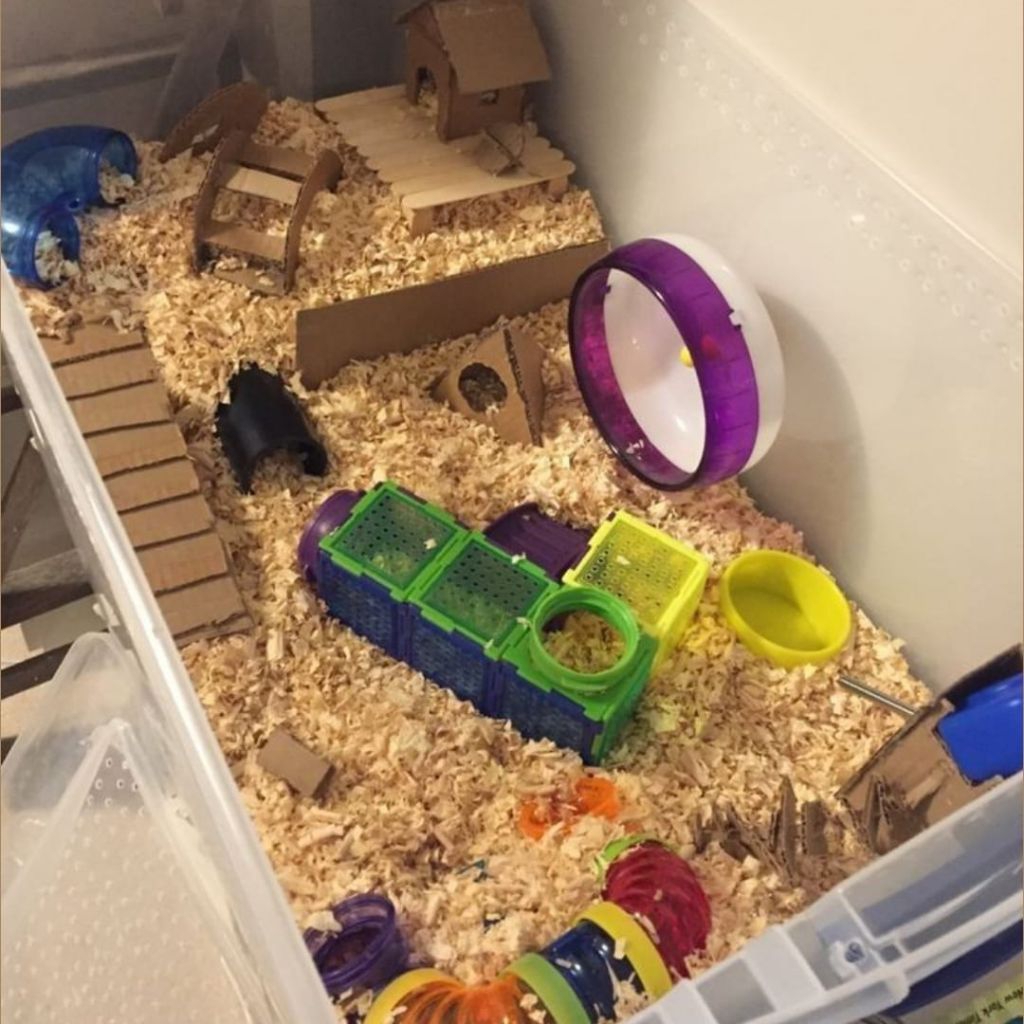 Happy World Pet Shop Serbuk Kayu Untuk Alas Kandang Hamster 500gr - Ideal untuk Kesehatan & Kebersih