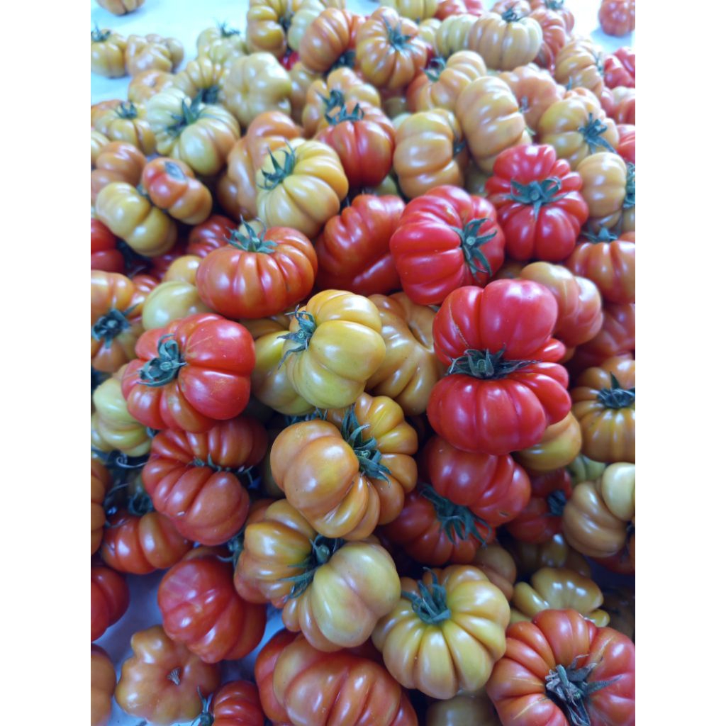 

Ranti khas banyuwangi untuk sambel tempong