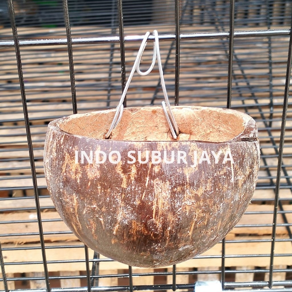 Batok Kelapa Kawat Dua, Tebal Wadah Makanan & Minum Ayam