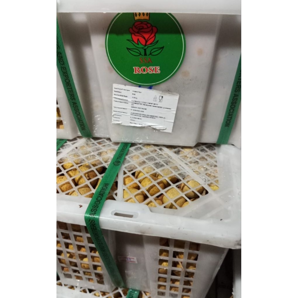 

Lengkeng Hijau 1 keranjang 10 kg