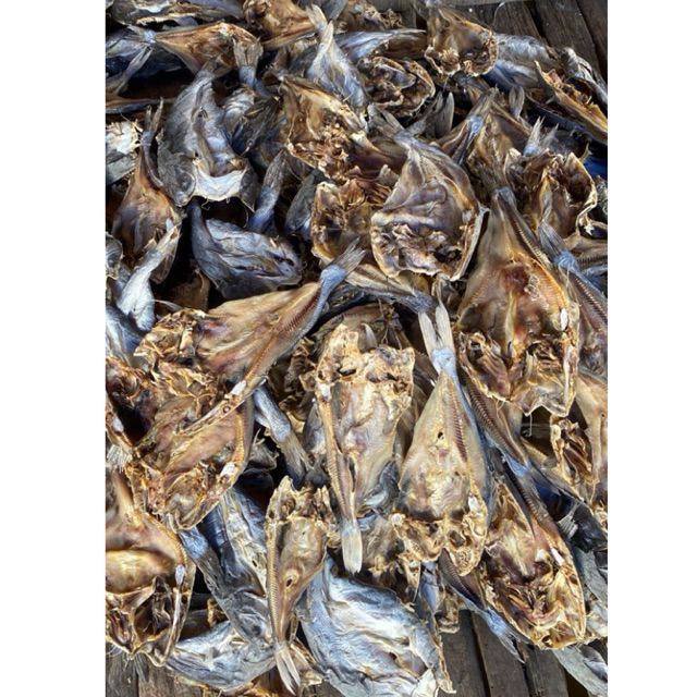 

ikan asin baung/duri sedang