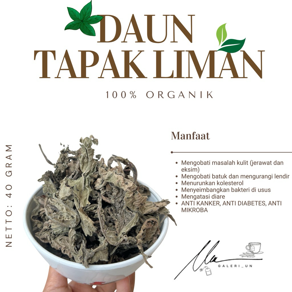 DAUN TAPAK LIMAN