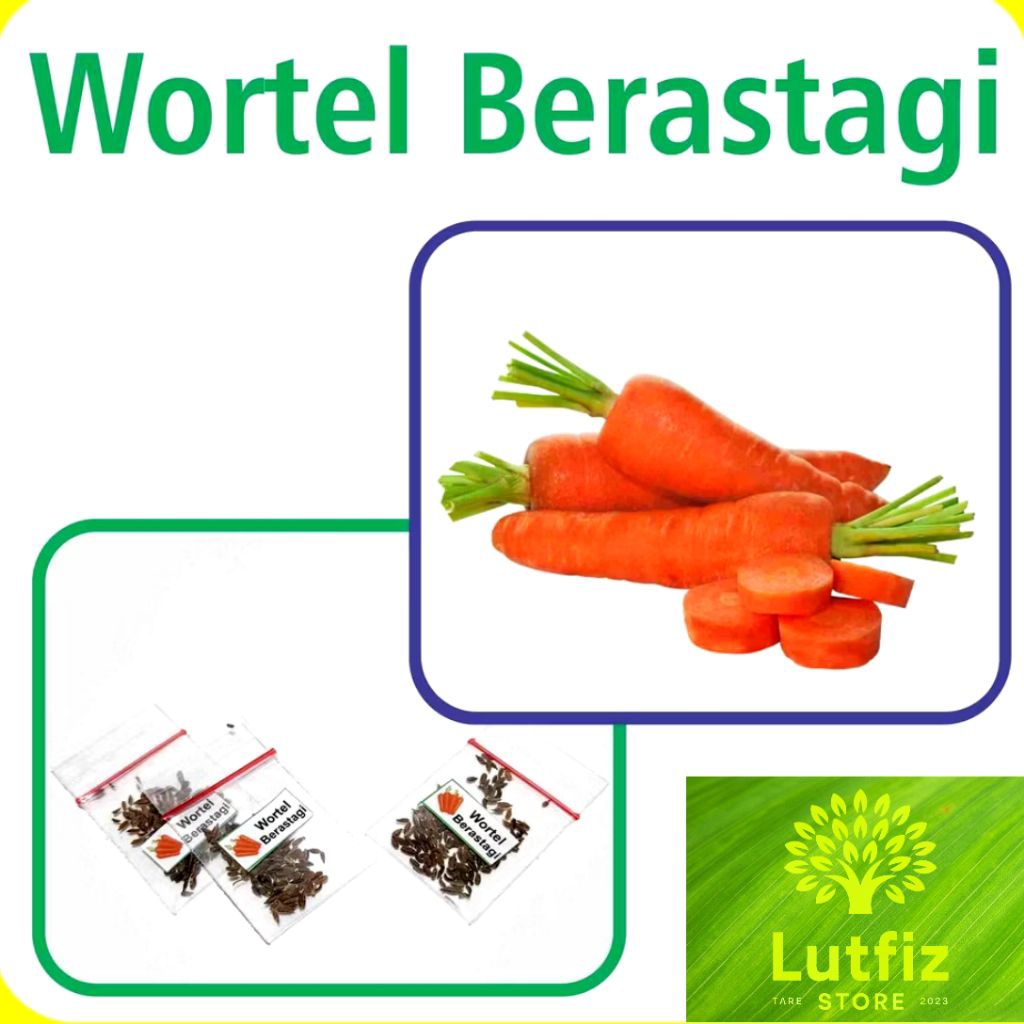 

Wortel Brastagi Benih Bibit Unggulan