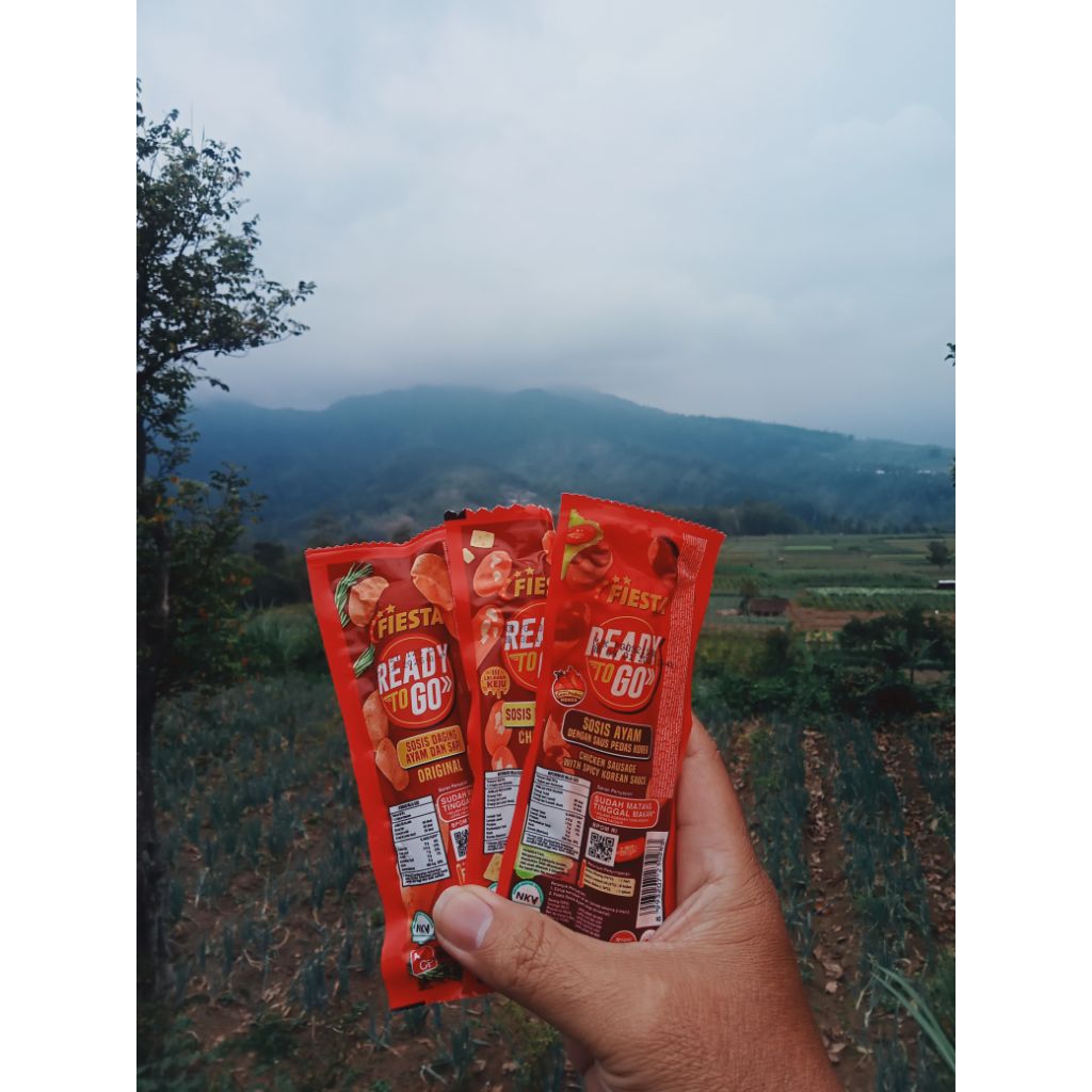 

Sosis Fiesta Go isi 3pc random