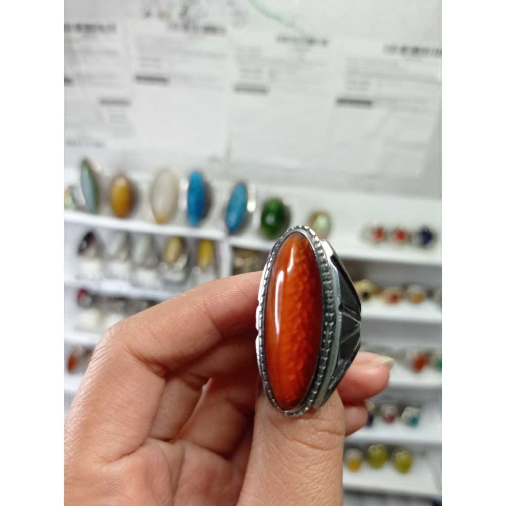 pandan merah sisik betik, pandan kapas