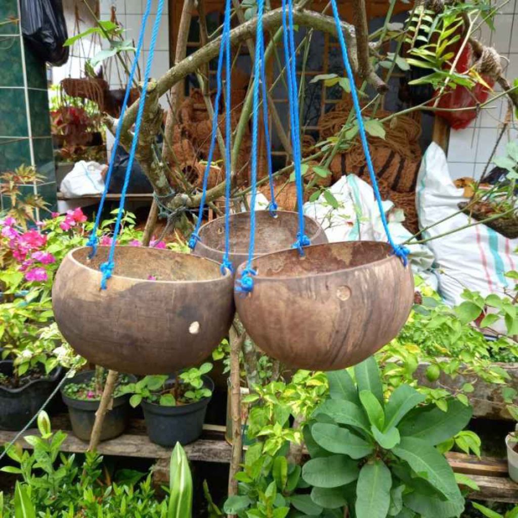 Ready pot gantung alami bahan batok
