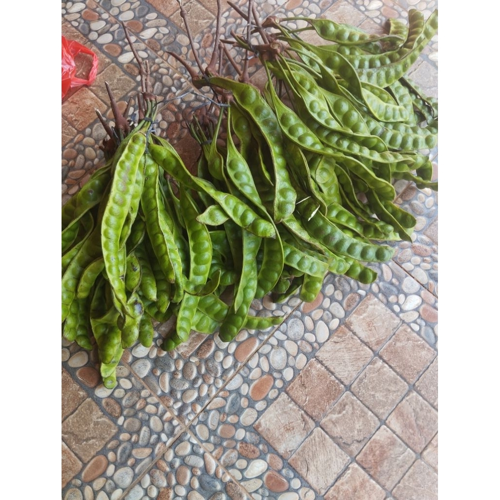 

petae pete tua superan 10 papan/lonjor