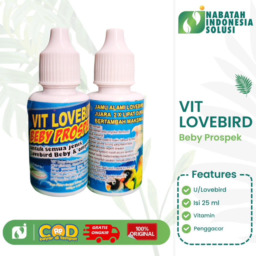 VITAMIN BURUNG LOVEBIRD PROSPEK VITAMIN KONTES ALAMI LOVEBIRD JUARA