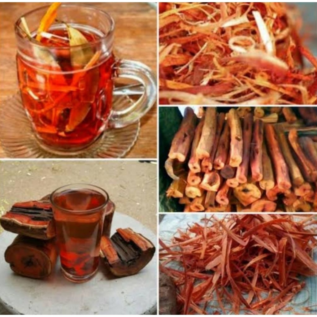 

KAYU SECANG MELINDUNGI SEL DARI KERUSAKAN MENGATASI MASALAH KULIT