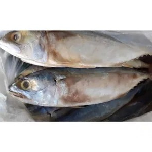 ikan asin peda merah 500g
