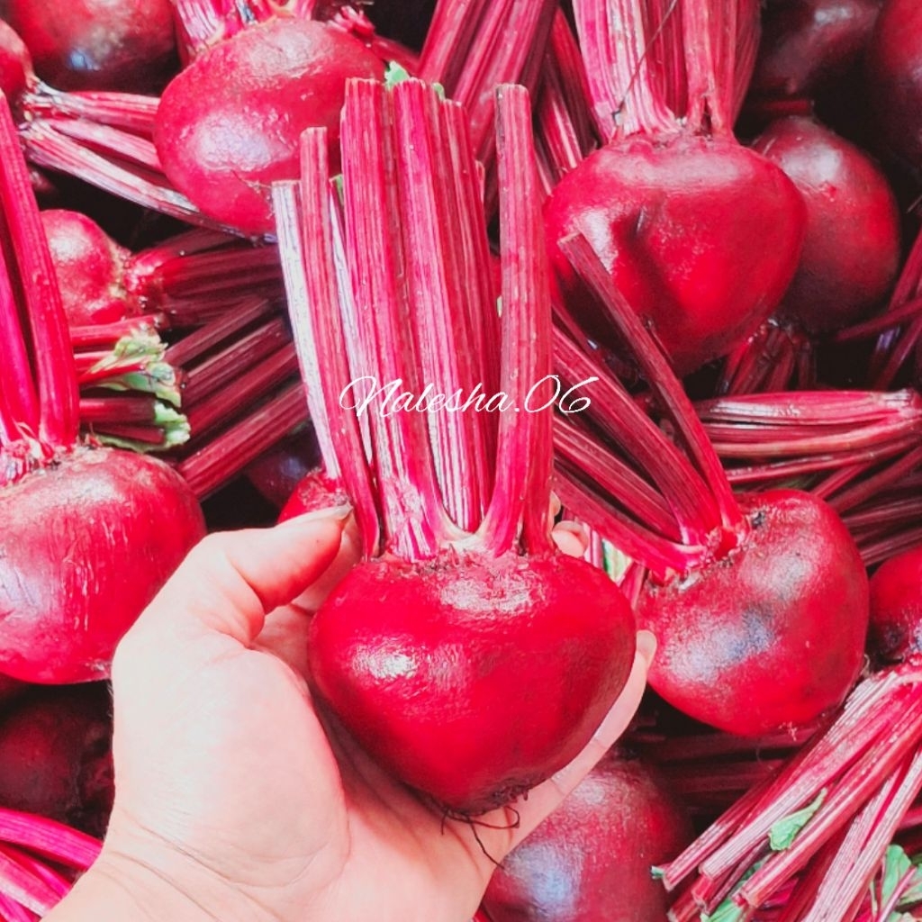 

BUAH BIT/BEET ROOT SEGAR 1KG TERLARIS