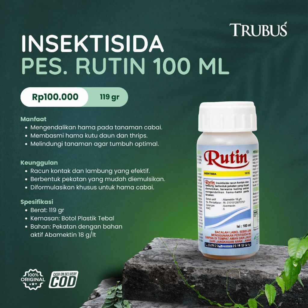 INSEKTISIDA RUTIN UNTUK TANAMAN CABAI - TRUBUS GREEN
