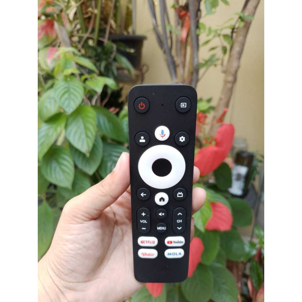 Remote TV Polytron MOLA Netflix