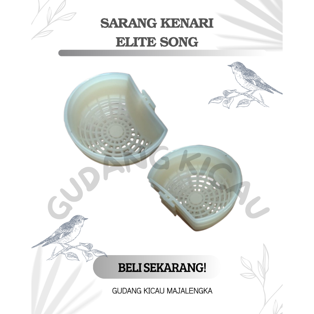 SARANG BURUNG KENARI ELITE SONG