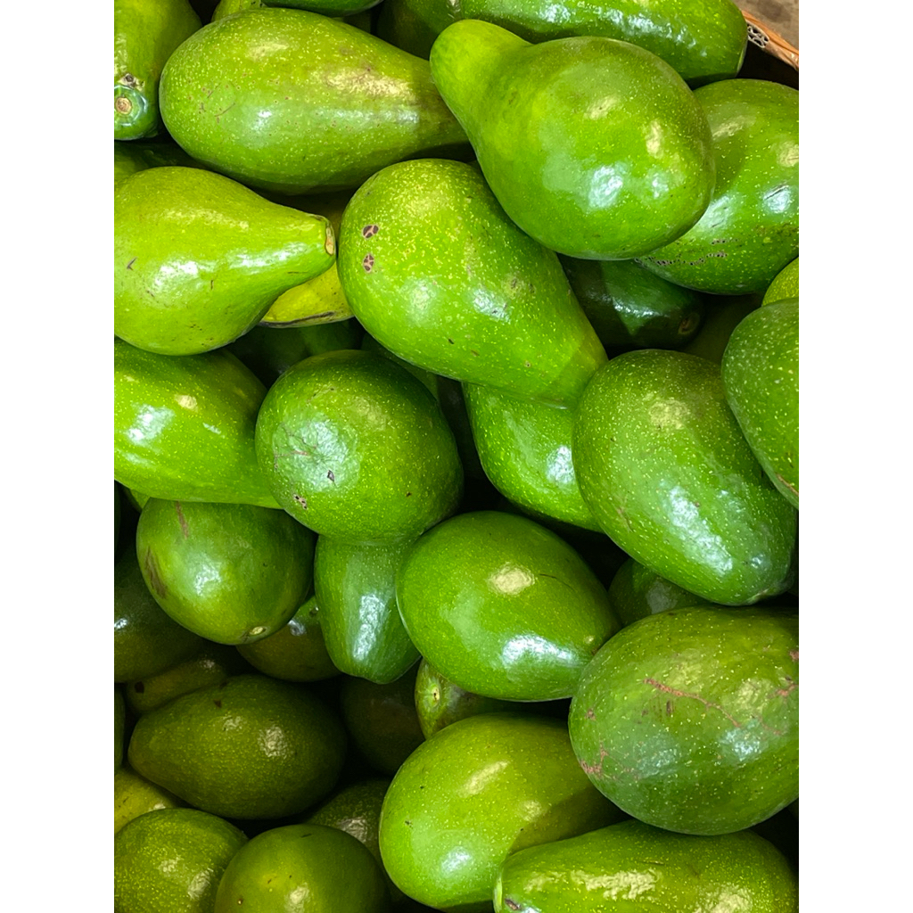 (Instant/sameday) Alpukat Aligator (Creamy & Mentega) | 1000gram / 1kg - Toko Buah Holareve