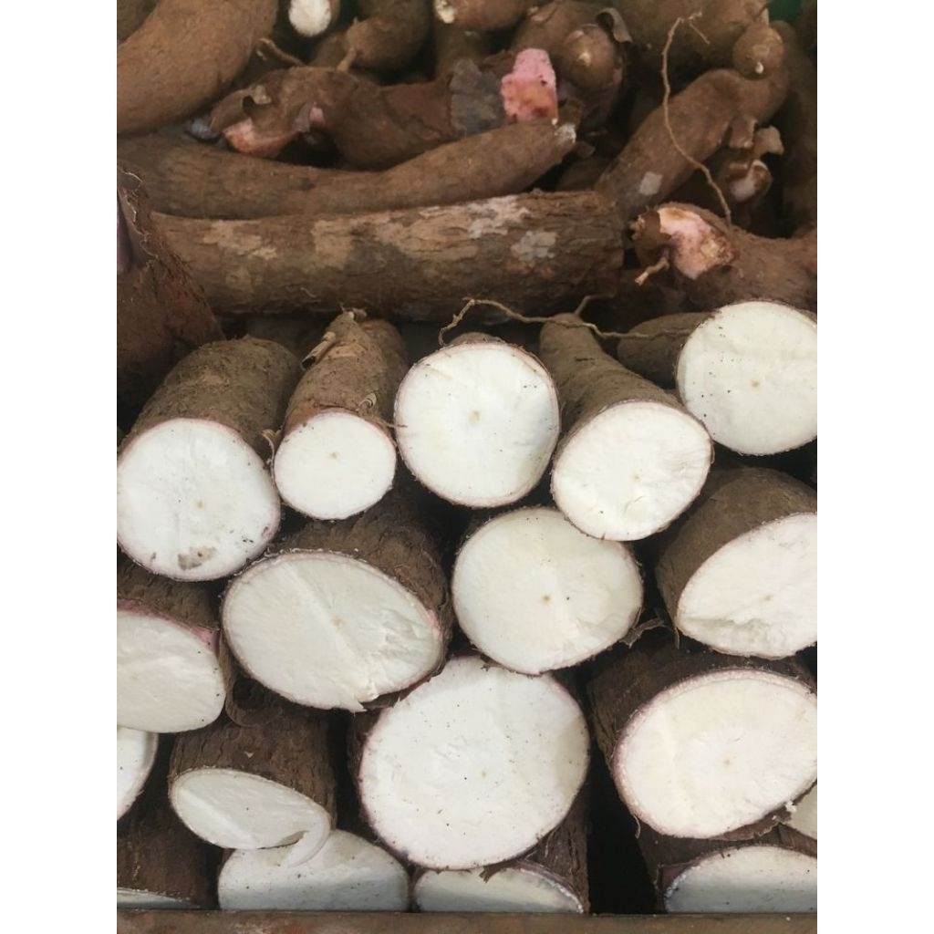 

singkong fermas merah/ singkong kulit merah 1kg