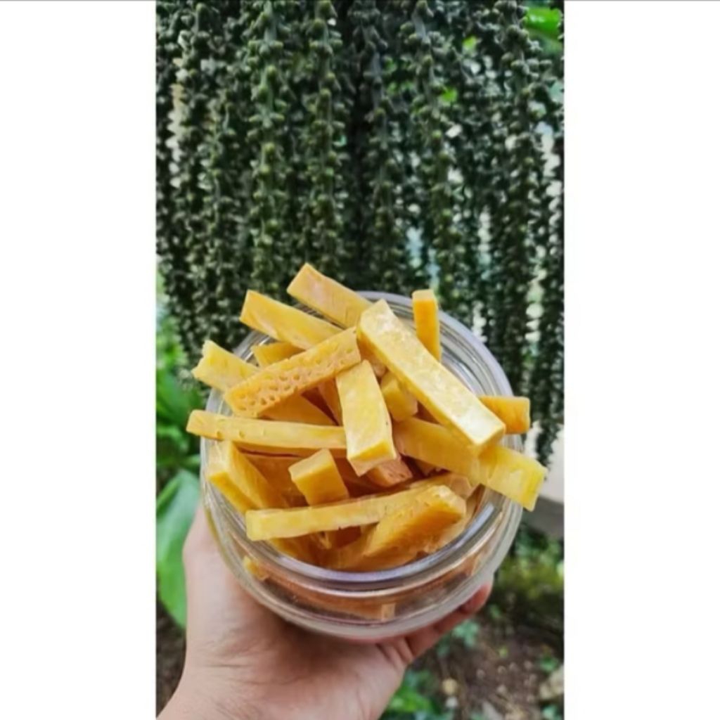 

STIK SUKUN MENTEGA GRADE A