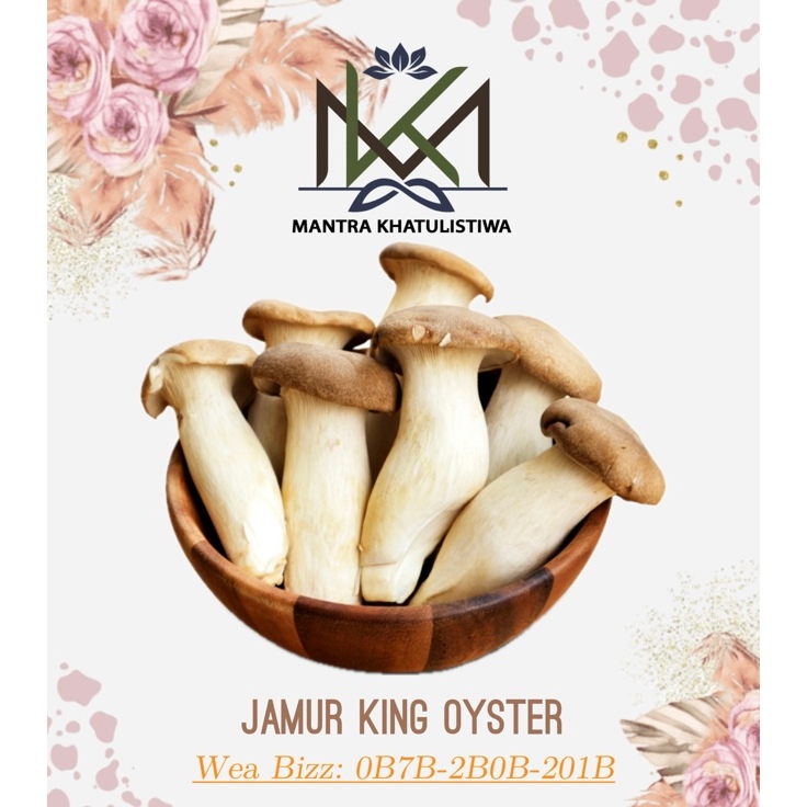 JAMUR KING OYSTER SEGAR KING OYSTER PACKING IMPORT