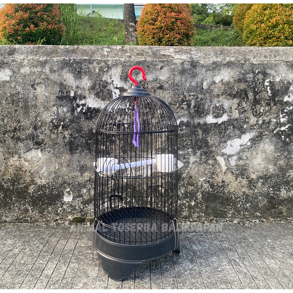 Sangkar burung kecil bahan besi