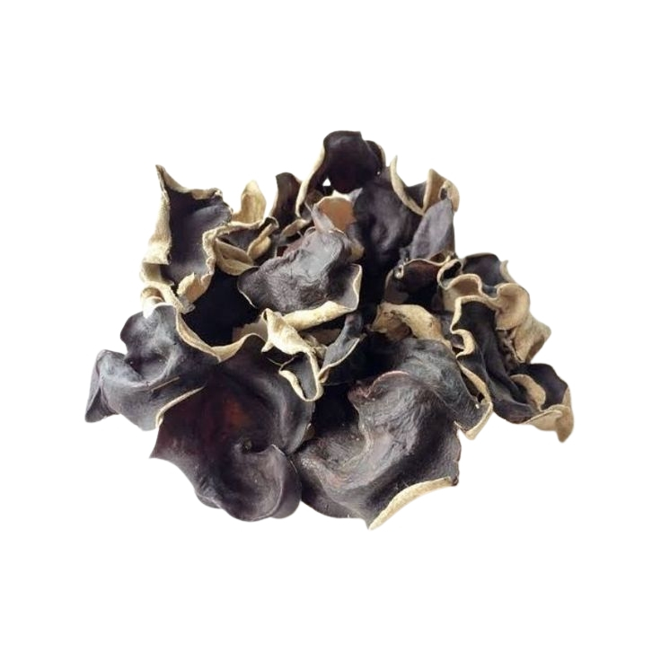 

LEMBER JAMUR KUPING HITAM KERING KEMASAN 100 GRAM KUALITAS PREMIUM