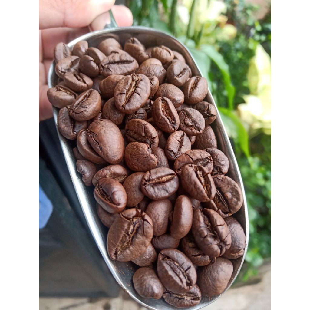 

kopi Sruput robusta lampung petik merah