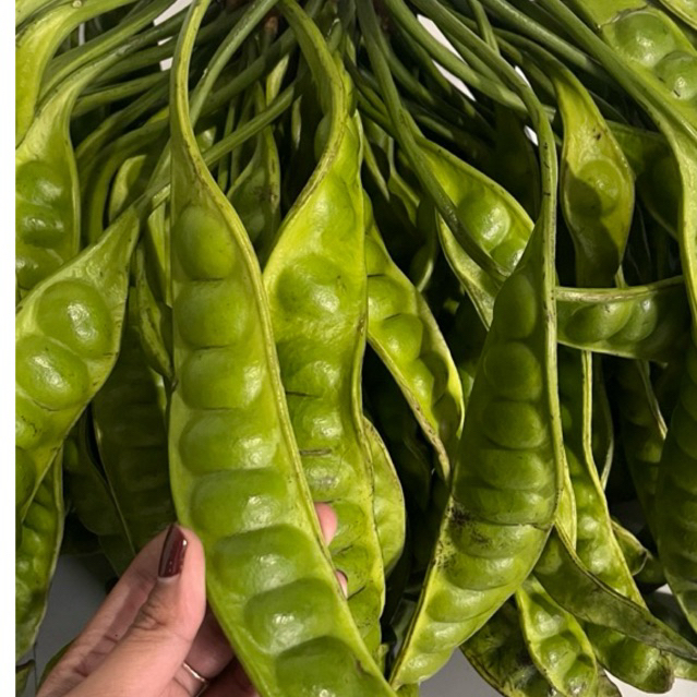 

pete super fresh 10 lonjor/10 papan