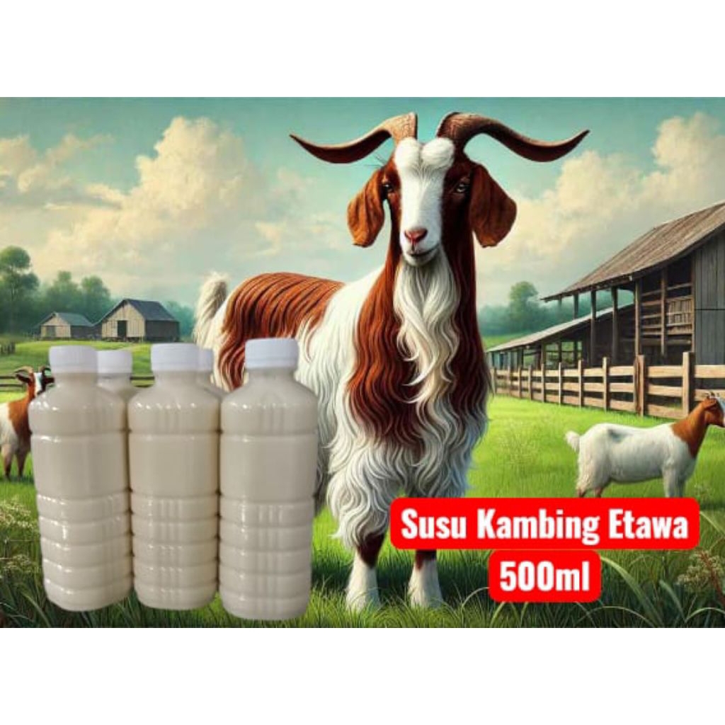 

susu segar kambing etawa 500 ml langsung dari peternak