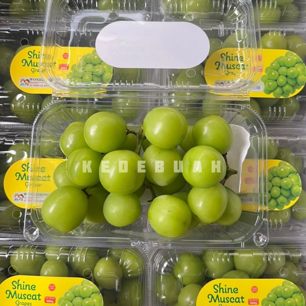 

Anggur Shine Muscat Green Seedless (Buy 1 Get 1)
