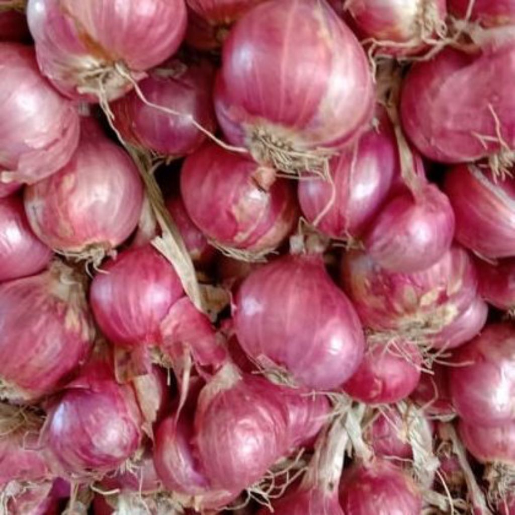 

Bawang Merah Probolinggo