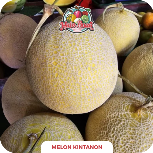 

[Terlaris] Buah Melon Madu Manis 1 buah 2.5 - 3.5 kg