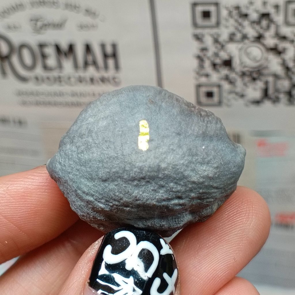 Muncang Adu Manohara Childs kode 1