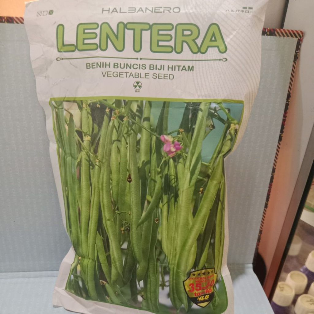 

BENIH BUNCIS LENTERA 500GRAM