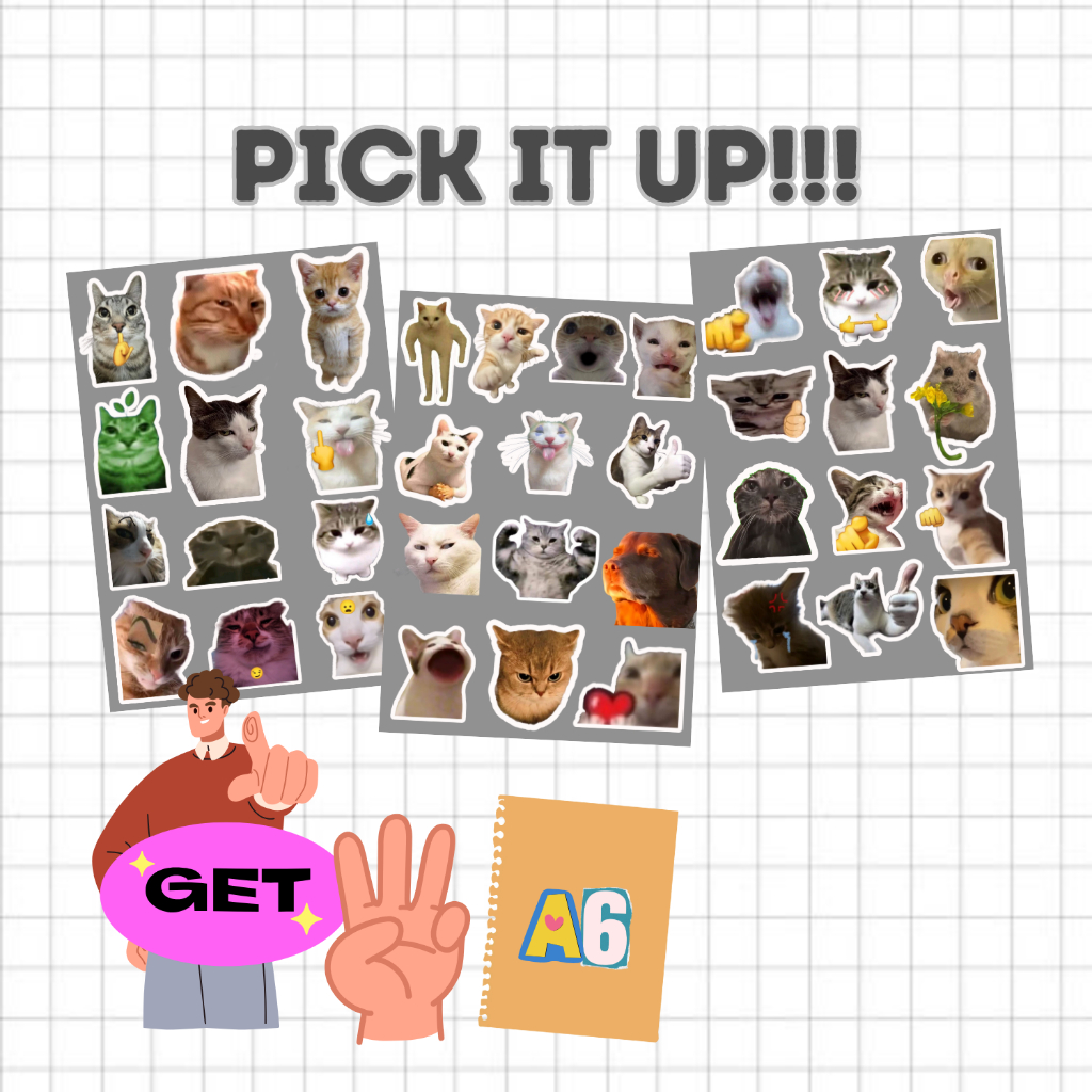 

STICKERS PACK CAT MEMES 36 PCS (include 3 lembar A6) KISSCUT VINYL GLOSSY ANTI AIR