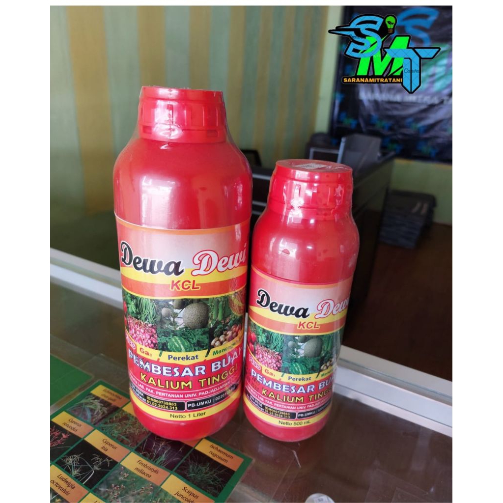 KCL Dewa DEwi/ Pupuk cair