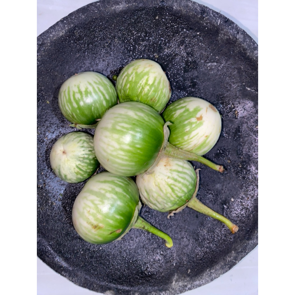 

Terong bulat segar lalaban 1kg