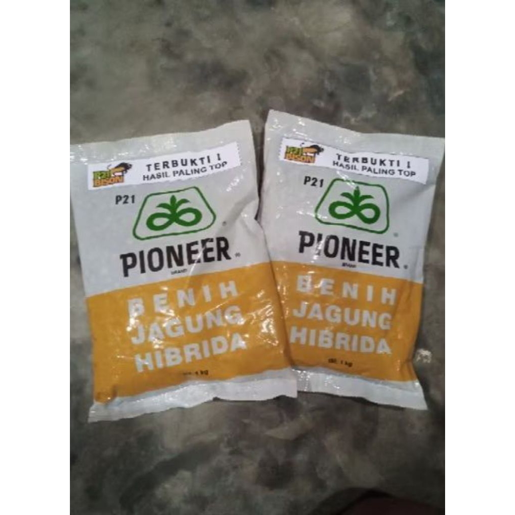 BENIH JAGUNG HIBRIDA PIONEER P21 KEMASAN 1 KG