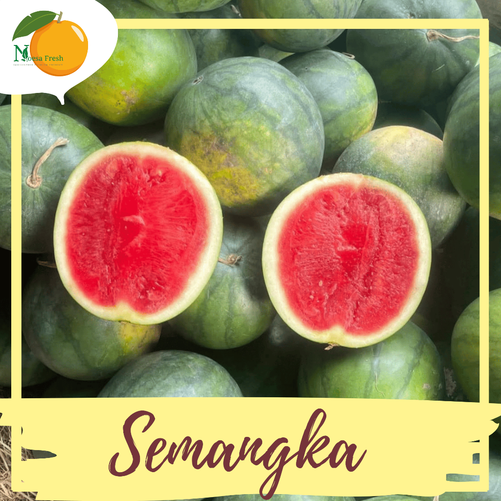 

Semangka Merah Non Biji 1 Buah Berat ±3,1-3,5 Kg Fresh