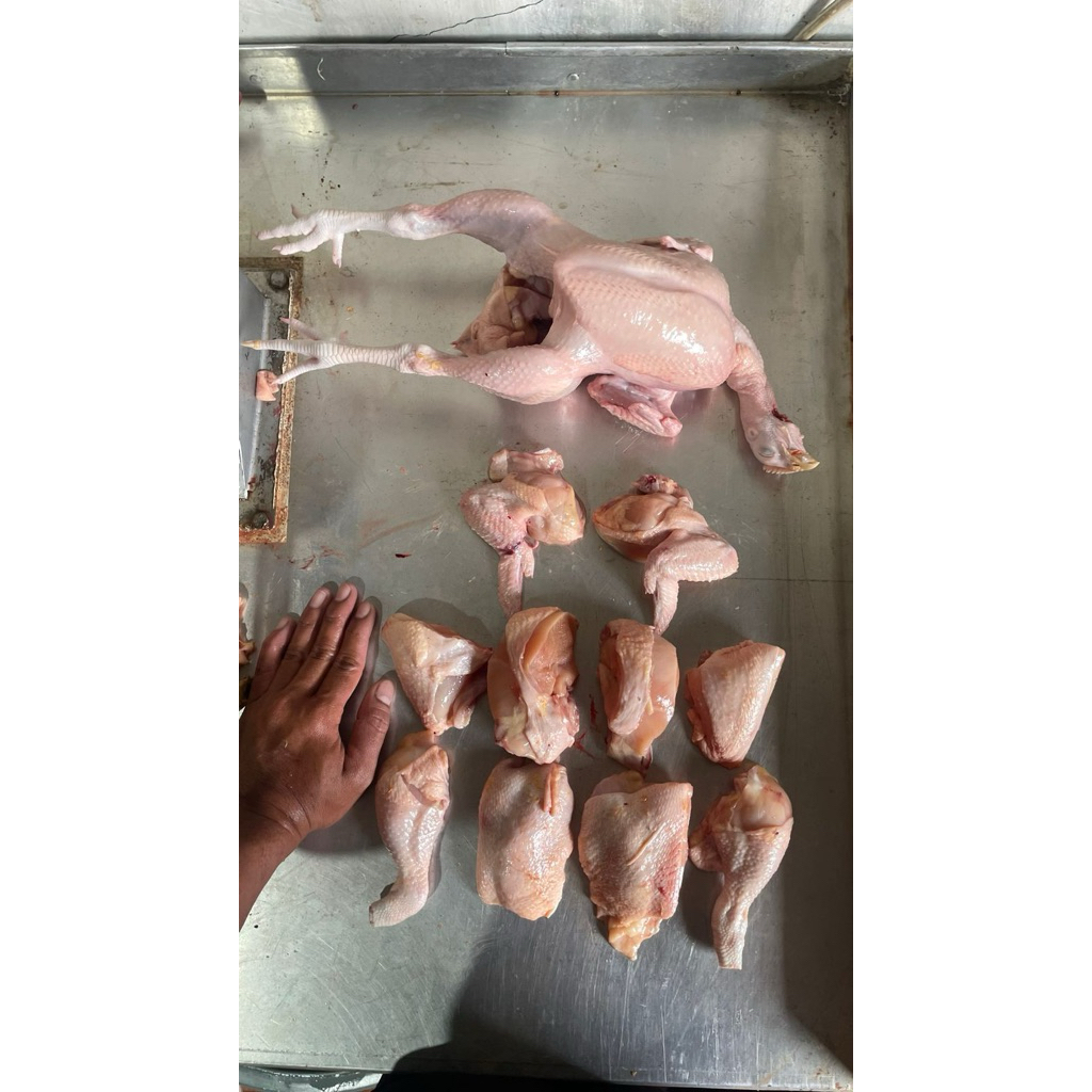 

AYAM POTONG SEGAR/ ayam broiler